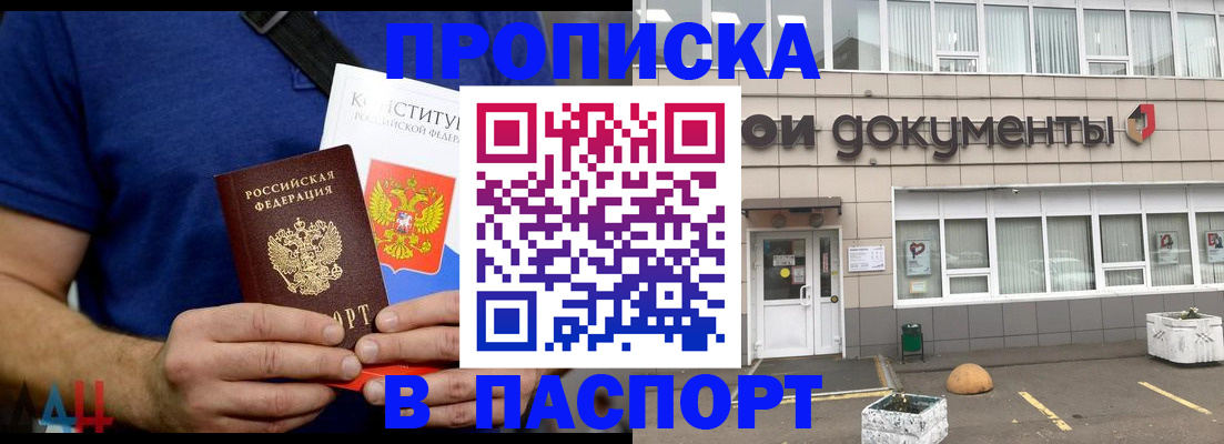 прописка паспорт в Пионерском